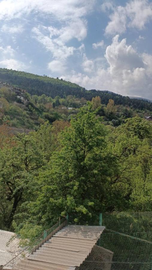 Arman Guest House Dilijan Exteriör bild