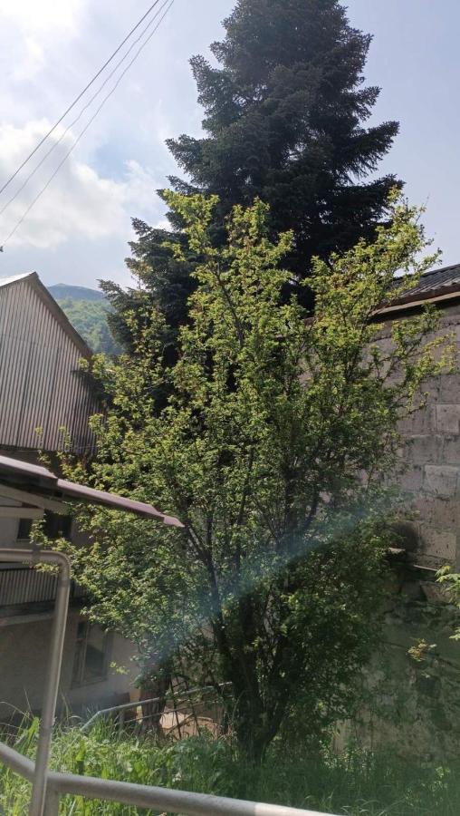 Arman Guest House Dilijan Exteriör bild