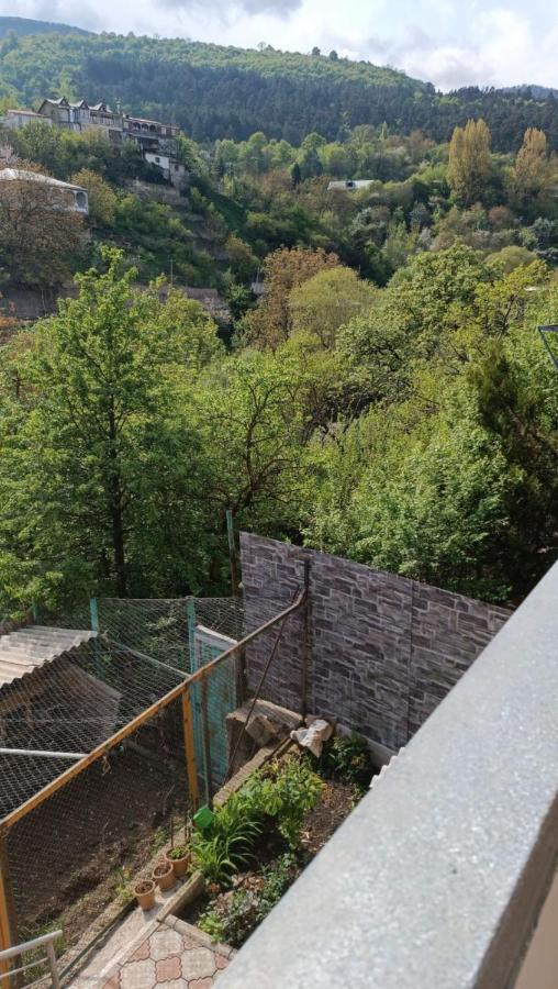 Arman Guest House Dilijan Exteriör bild
