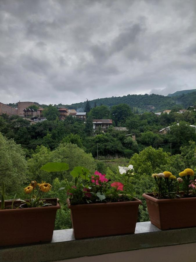 Arman Guest House Dilijan Exteriör bild