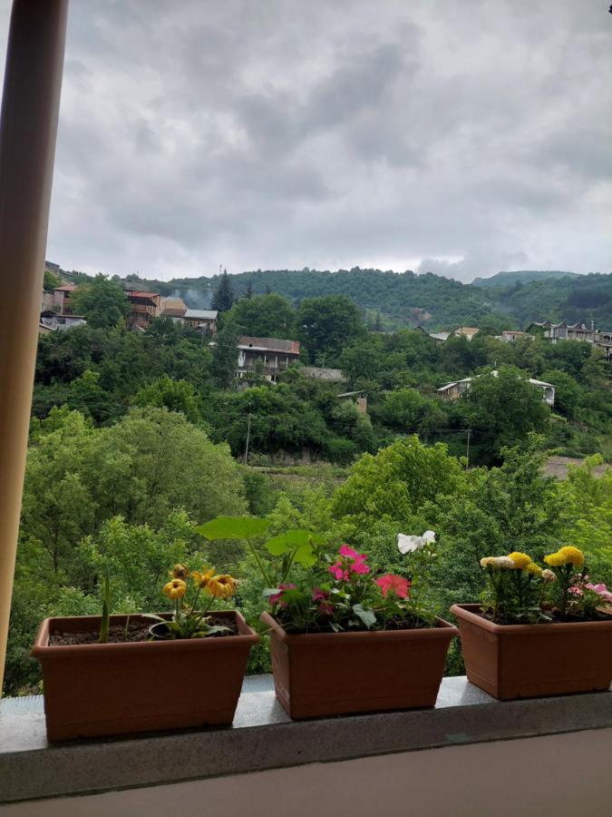 Arman Guest House Dilijan Exteriör bild